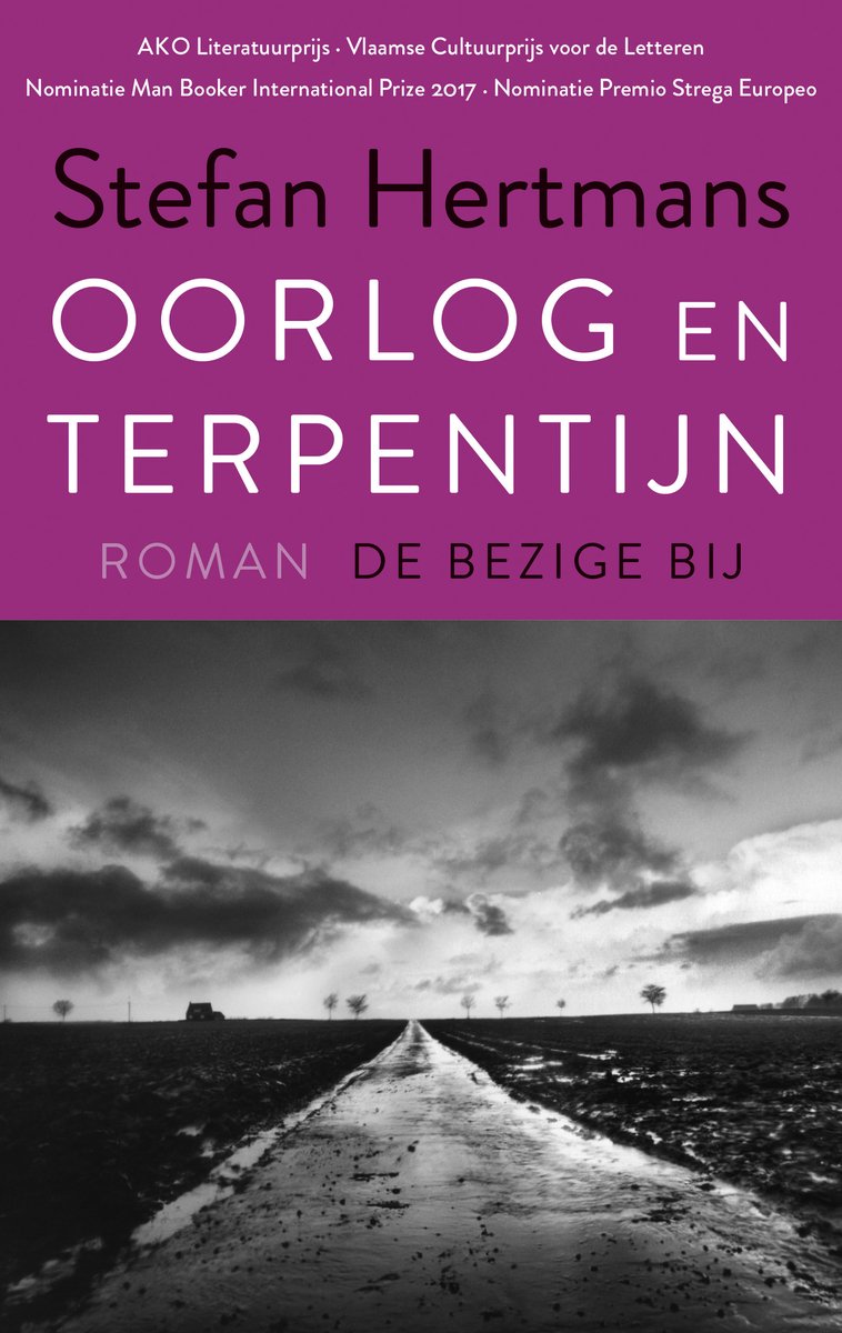Omslag van Oorlog en terpentijn