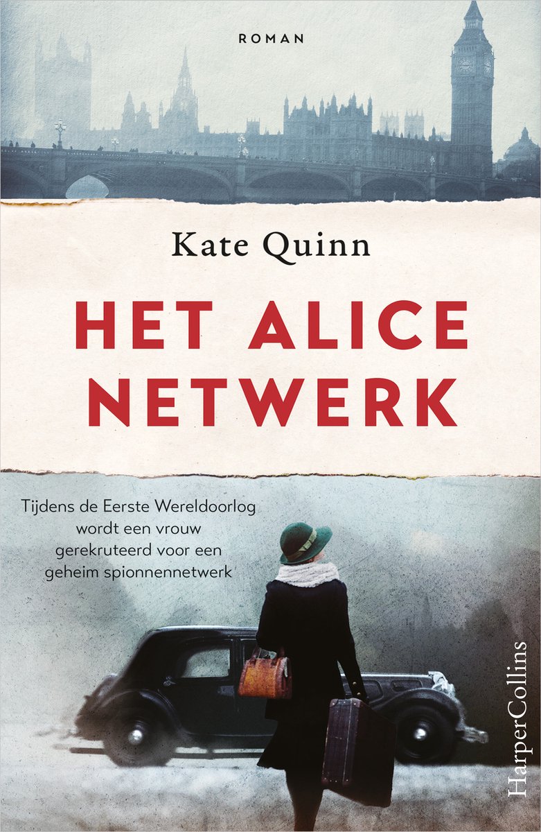 Omslag van Het Alice-netwerk