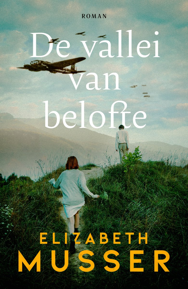Omslag van De vallei van belofte
