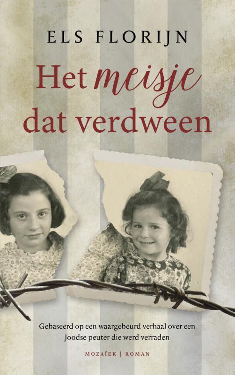 Omslag van Het meisje dat verdween